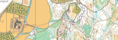 Raumarkarusell løp 6-Skogsorientering. Arr. Nes OL i Skogbygda.